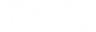 Projects methodology